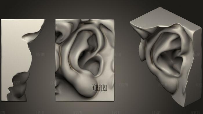 Michelangelo ear 3d stl модель для ЧПУ